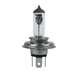 BIOLIGHT 24V-100/90W B-H4 P45T CLEAR HEAD LAMP HALOGEN BULBS