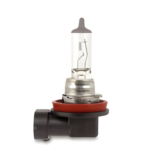 BIOLIGHT 12V 35W B-H8-B4-PGJ19-1 SUPER WHITE HEAD LAMP HALOGEN BULBS
