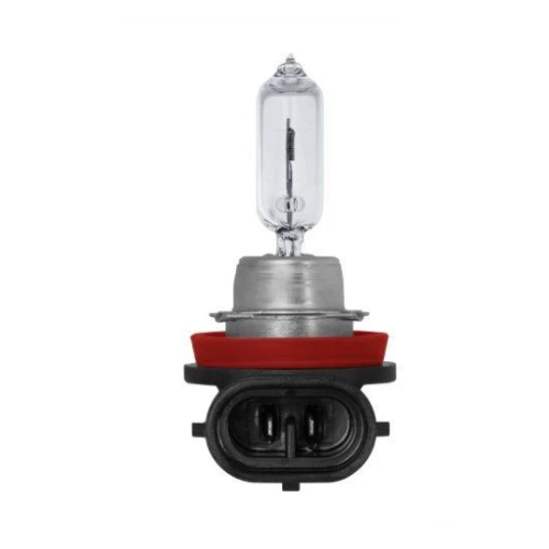 BIOLIGHT 12V 65W B-H9-B4-PGJ19-5 SUPER WHITE HEAD LAMP HALOGEN BULBS