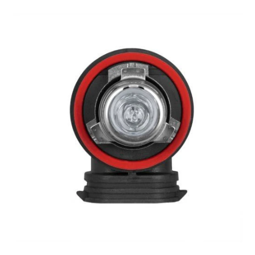 BIOLIGHT 12V 65W B-H9-B4-PGJ19-5 SUPER WHITE HEAD LAMP HALOGEN BULBS