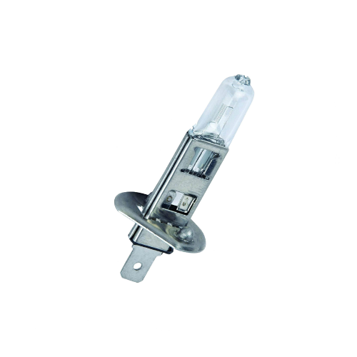 Biolight 24V-70W B-H1 HALOGEN CLEAR HEAD LAMP BULBS